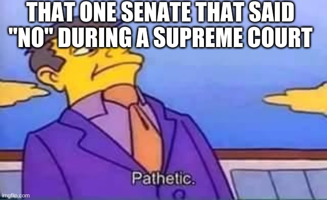 Pathetic | THAT ONE SENATE THAT SAID "NO" DURING A SUPREME COURT | image tagged in skinner pathetic | made w/ Imgflip meme maker