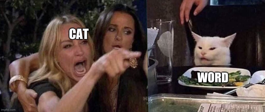 woman yelling at cat | CAT; WORD | image tagged in woman yelling at cat | made w/ Imgflip meme maker