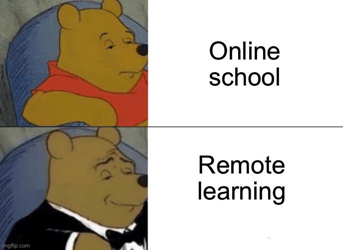 Tuxedo Winnie The Pooh Meme | Online school; Remote learning | image tagged in memes,tuxedo winnie the pooh | made w/ Imgflip meme maker