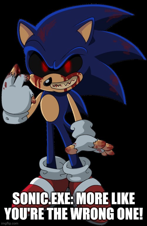 Sonic.EXE FOUND YOU | SONIC.EXE: MORE LIKE YOU'RE THE WRONG ONE! | image tagged in sonic exe found you | made w/ Imgflip meme maker