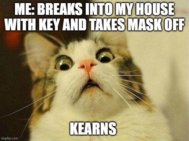 Scared Cat | ME: BREAKS INTO MY HOUSE WITH KEY AND TAKES MASK OFF; KEARNS | image tagged in memes,scared cat | made w/ Imgflip meme maker