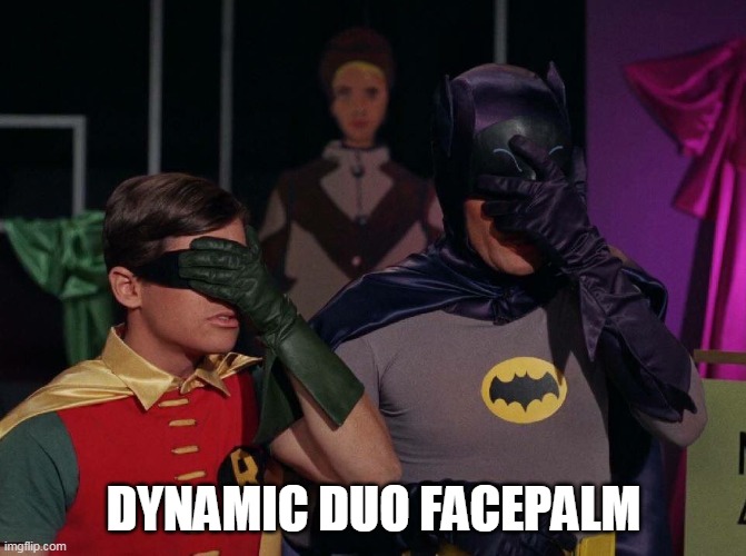 DYNAMIC DUO FACEPALM | image tagged in batman,facepalm | made w/ Imgflip meme maker