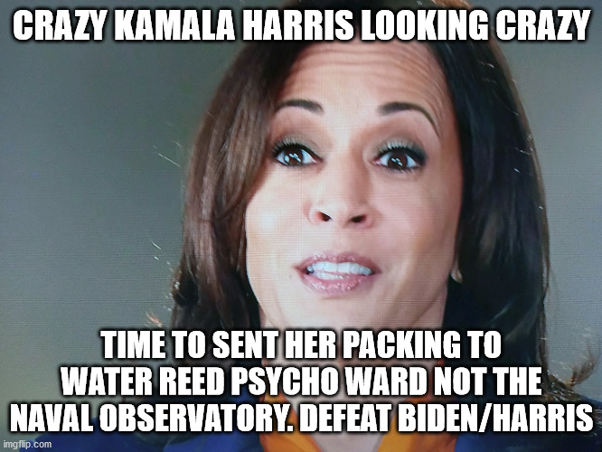 Kamala Harris a crazy looking woman | CRAZY KAMALA HARRIS LOOKING CRAZY; TIME TO SENT HER PACKING TO WATER REED PSYCHO WARD NOT THE NAVAL OBSERVATORY. DEFEAT BIDEN/HARRIS | image tagged in kamala harris,election 2020,time travel | made w/ Imgflip meme maker