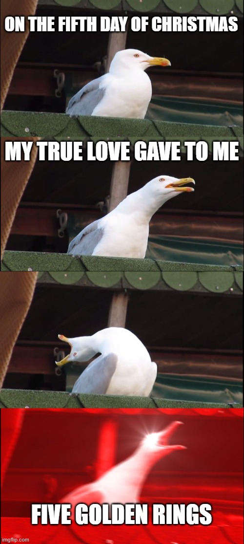 FFFIIIVVVEEE GGGOOOLLLDDDEEENNN RRRIIINNNGGGSSS | ON THE FIFTH DAY OF CHRISTMAS; MY TRUE LOVE GAVE TO ME; FIVE GOLDEN RINGS | image tagged in memes,inhaling seagull | made w/ Imgflip meme maker