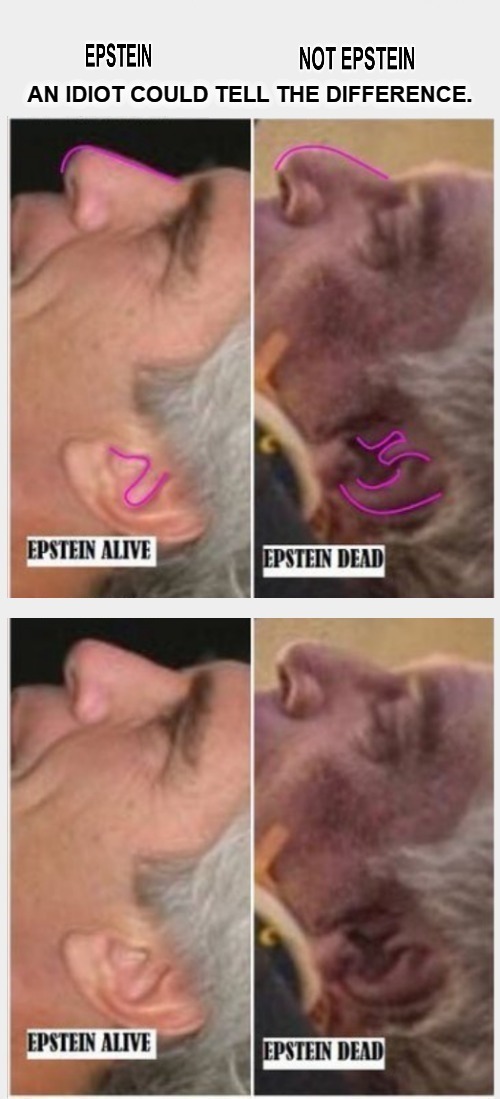 Epstein and NOT Epstein. An IDIOT could tell the difference. | image tagged in epstein,jeffrey epstein,epstein did not kill himself | made w/ Imgflip meme maker