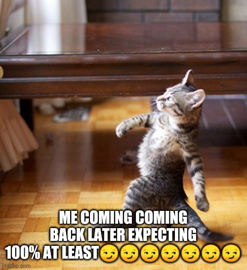 Huge hopes | ME COMING COMING BACK LATER EXPECTING 100% AT LEAST😏😏😏😏😏😏😏 | image tagged in cat walking like a boss | made w/ Imgflip meme maker