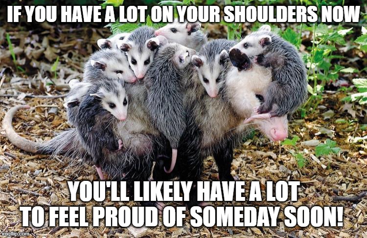 IF YOU HAVE A LOT ON YOUR SHOULDERS NOW; YOU'LL LIKELY HAVE A LOT TO FEEL PROUD OF SOMEDAY SOON! | made w/ Imgflip meme maker