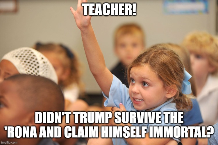 Hand raised | TEACHER! DIDN'T TRUMP SURVIVE THE 'RONA AND CLAIM HIMSELF IMMORTAL? | image tagged in hand raised | made w/ Imgflip meme maker