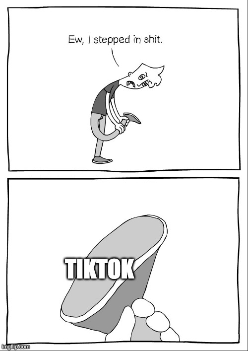 Ew, i stepped in shit | TIKTOK | image tagged in ew i stepped in shit | made w/ Imgflip meme maker