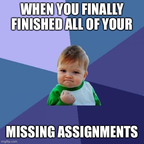 Success Kid | WHEN YOU FINALLY FINISHED ALL OF YOUR; MISSING ASSIGNMENTS | image tagged in memes,success kid | made w/ Imgflip meme maker