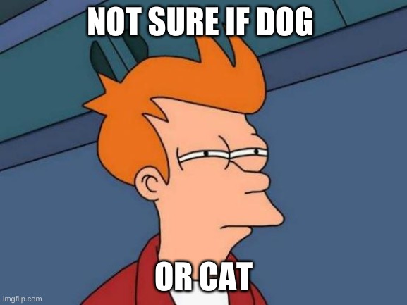 Futurama Fry Meme | NOT SURE IF DOG OR CAT | image tagged in memes,futurama fry | made w/ Imgflip meme maker