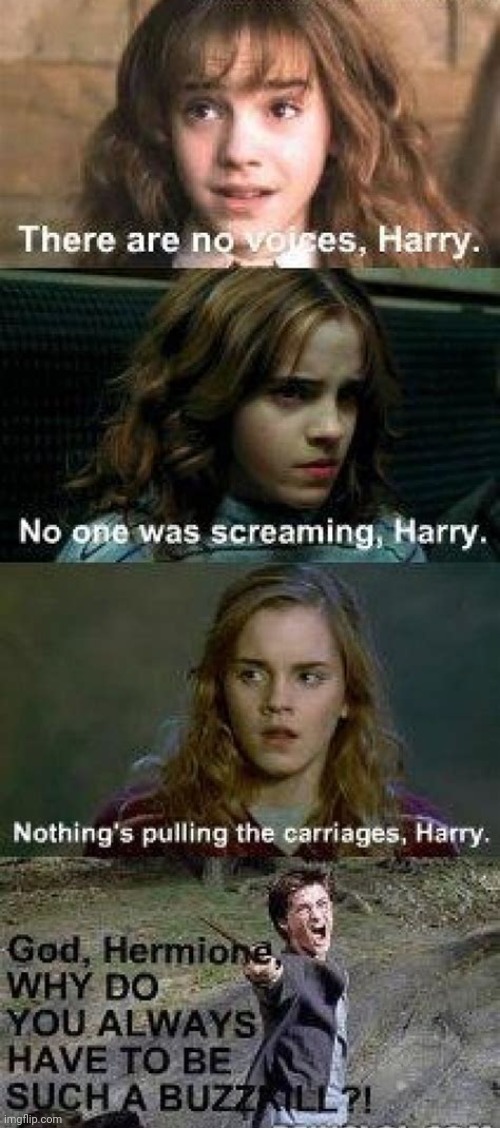Hermione such a buzzkill *whatever that means* | image tagged in harry potter,mean girls,yelling,mad,unhappy people,magic | made w/ Imgflip meme maker