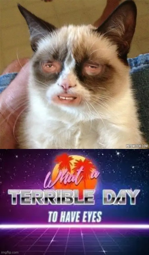 I miss 10 seconds ago | image tagged in grumpy cat high,what a terrible day to have eyes,memes | made w/ Imgflip meme maker
