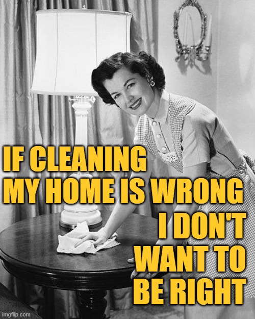 Cleaning My Home | IF CLEANING MY HOME IS WRONG; I DON'T WANT TO BE RIGHT | image tagged in cleaning,housewife,housework,sayings,women,memes | made w/ Imgflip meme maker