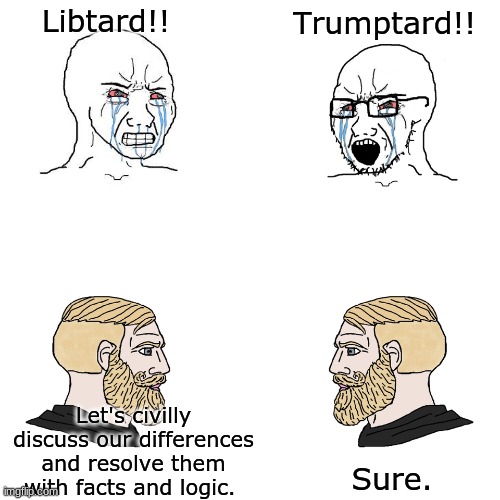 We are an Imperfect Union... | Libtard!! Trumptard!! Sure. Let's civilly discuss our differences and resolve them with facts and logic. | image tagged in crying wojak / i know chad meme | made w/ Imgflip meme maker