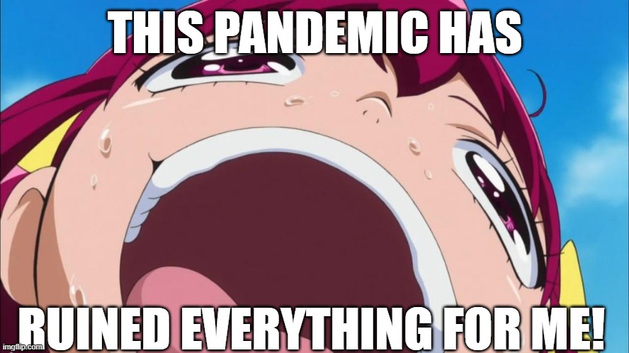 Pandemic Depression | THIS PANDEMIC HAS; RUINED EVERYTHING FOR ME! | image tagged in miyuki's head meme,covid-19,memes,smile precure,precure | made w/ Imgflip meme maker