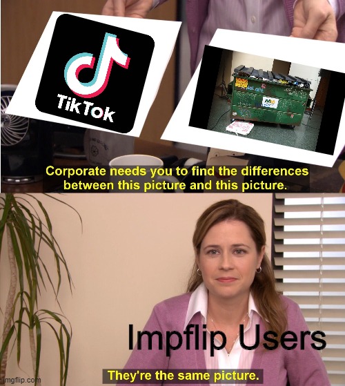 The same picture | Impflip Users | image tagged in memes,they're the same picture,tik tok,garbage | made w/ Imgflip meme maker
