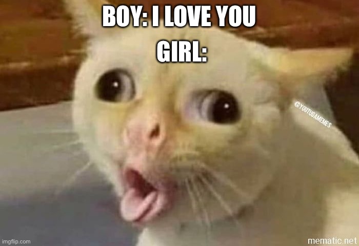 Heck no | BOY: I LOVE YOU; GIRL: | image tagged in heck no | made w/ Imgflip meme maker