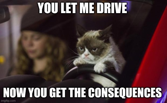 grumpy cat | YOU LET ME DRIVE; NOW YOU GET THE CONSEQUENCES | image tagged in grumpy cat driving | made w/ Imgflip meme maker