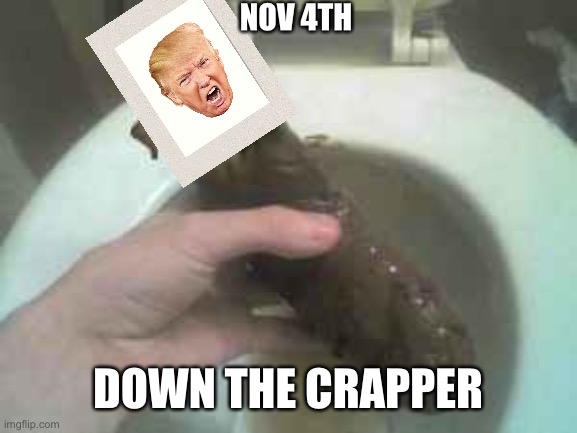 Obama Turd | NOV 4TH DOWN THE CRAPPER | image tagged in obama turd | made w/ Imgflip meme maker