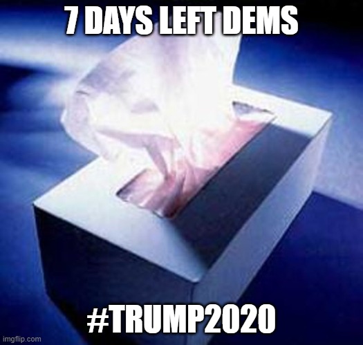 The next run on Kleenex is in 7 days! | 7 DAYS LEFT DEMS; #TRUMP2020 | image tagged in kleenex,trump,7 days,funny,meme | made w/ Imgflip meme maker