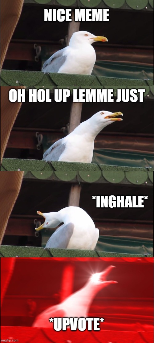 Inhaling Seagull Meme | NICE MEME OH HOL UP LEMME JUST *INGHALE* *UPVOTE* | image tagged in memes,inhaling seagull | made w/ Imgflip meme maker