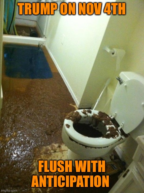 It’s pins and needles on Nov 3rd but come the 4th? Trumps down the crapper | TRUMP ON NOV 4TH; FLUSH WITH ANTICIPATION | image tagged in poop,trump,orange,idiot,fake,president | made w/ Imgflip meme maker
