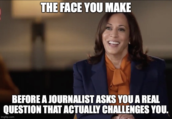 Kamala Harris 60 minutes | THE FACE YOU MAKE; BEFORE A JOURNALIST ASKS YOU A REAL QUESTION THAT ACTUALLY CHALLENGES YOU. | image tagged in kamala harris 60 minutes | made w/ Imgflip meme maker