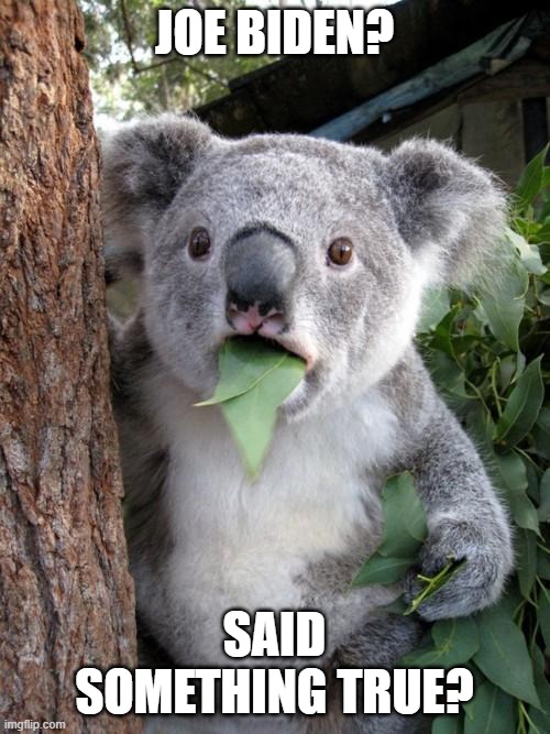 Surprised Koala Meme | JOE BIDEN? SAID SOMETHING TRUE? | image tagged in memes,surprised koala | made w/ Imgflip meme maker