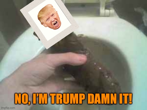 Obama Turd | NO, I’M TRUMP DAMN IT! | image tagged in obama turd | made w/ Imgflip meme maker