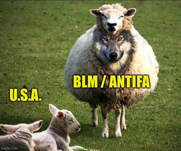 Baaad | BLM / ANTIFA; U.S.A. | image tagged in wolf in sheep's clothing,sheep,wolf,black lives matter,antifa,usa | made w/ Imgflip meme maker