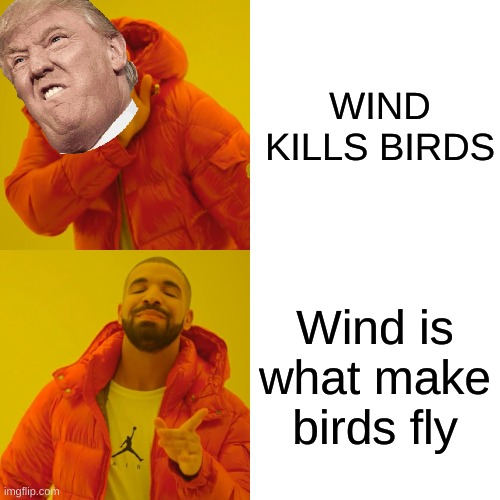 Trump is funny not president | WIND KILLS BIRDS; Wind is what make birds fly | image tagged in memes,drake hotline bling | made w/ Imgflip meme maker