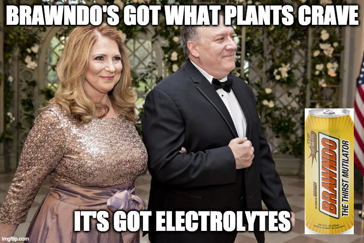  BRAWNDO'S GOT WHAT PLANTS CRAVE; IT'S GOT ELECTROLYTES | made w/ Imgflip meme maker