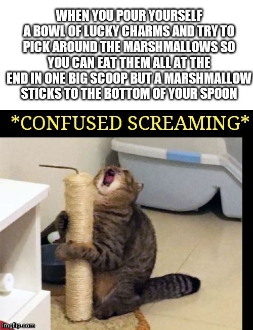 we have all had this happen | image tagged in memes,funny,cats,relatable | made w/ Imgflip meme maker