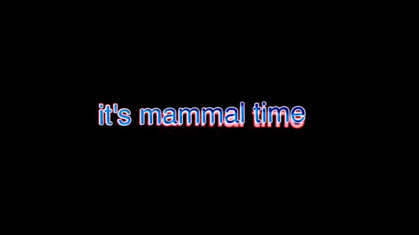 High Quality It's mammal time Blank Meme Template