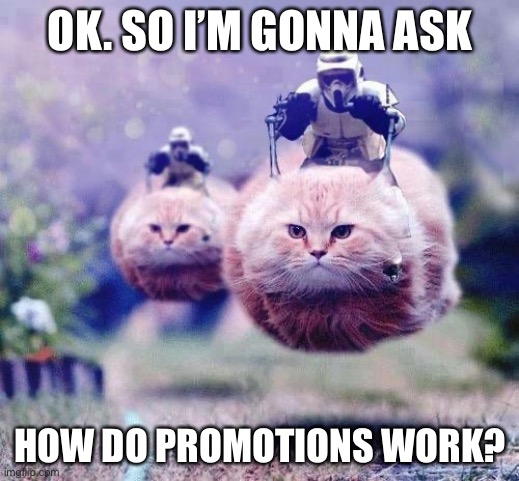 ??? | OK. SO I’M GONNA ASK; HOW DO PROMOTIONS WORK? | image tagged in storm trooper cats | made w/ Imgflip meme maker