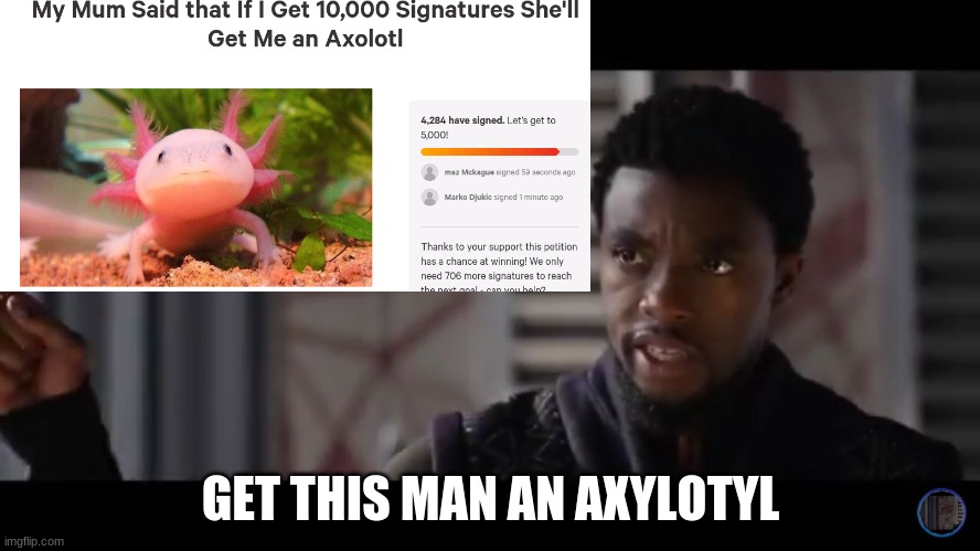 GET THIS MAN AN AXYLOTYL | made w/ Imgflip meme maker