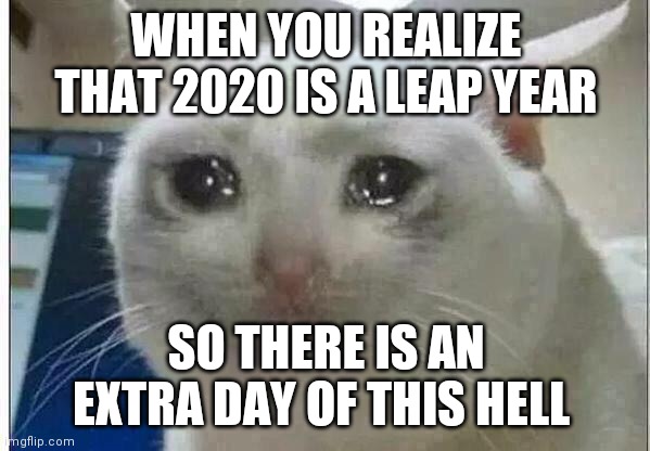 Oh God... | WHEN YOU REALIZE THAT 2020 IS A LEAP YEAR; SO THERE IS AN EXTRA DAY OF THIS HELL | image tagged in crying cat,2020 sucks,2020 memes | made w/ Imgflip meme maker