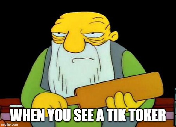 That's a paddlin' | WHEN YOU SEE A TIK TOKER | image tagged in memes,that's a paddlin' | made w/ Imgflip meme maker