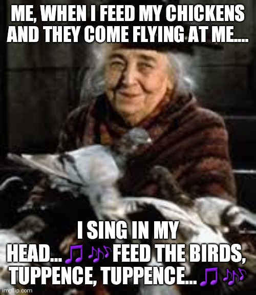 Feed the birds | ME, WHEN I FEED MY CHICKENS AND THEY COME FLYING AT ME.... I SING IN MY HEAD...🎵🎶FEED THE BIRDS,  TUPPENCE, TUPPENCE...🎵🎶 | image tagged in chickens | made w/ Imgflip meme maker