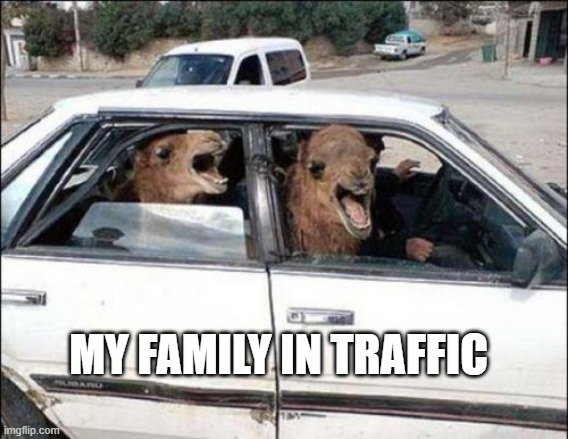 Quit Hatin | MY FAMILY IN TRAFFIC | image tagged in memes,quit hatin | made w/ Imgflip meme maker