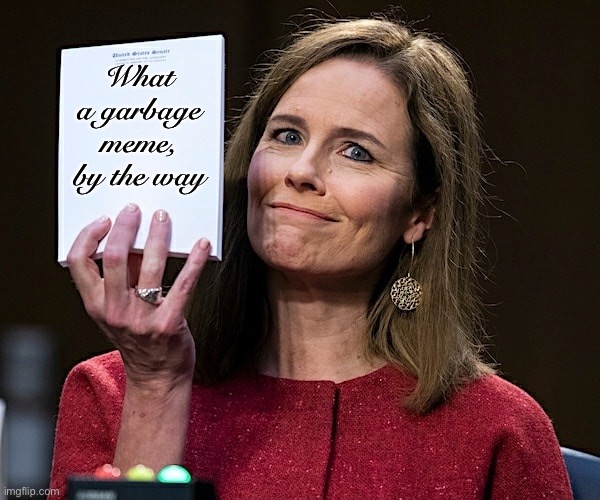 When the Right can’t meme. | What a garbage meme, by the way | image tagged in amy coney barrett blank notes,memes about memes,bad meme | made w/ Imgflip meme maker