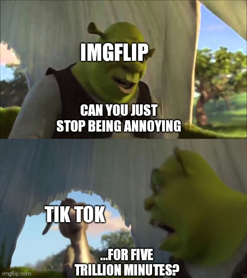 Can you not X, for FIVE MINUTES | IMGFLIP; CAN YOU JUST STOP BEING ANNOYING; TIK TOK; ...FOR FIVE TRILLION MINUTES? | image tagged in can you not x for five minutes,tik tok,imgflip,2020 | made w/ Imgflip meme maker