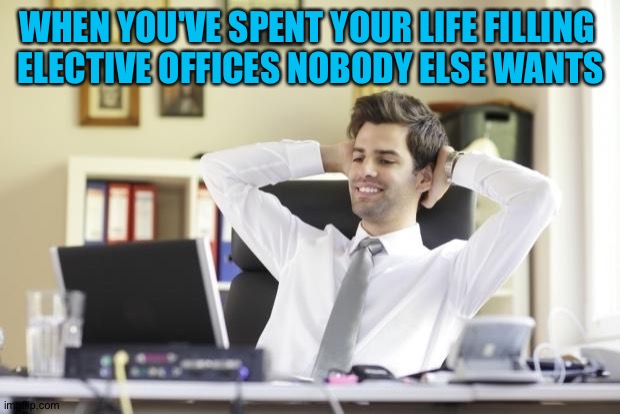Second District Commissioner for Mosquito Control | WHEN YOU'VE SPENT YOUR LIFE FILLING 
ELECTIVE OFFICES NOBODY ELSE WANTS | image tagged in happy office worker | made w/ Imgflip meme maker