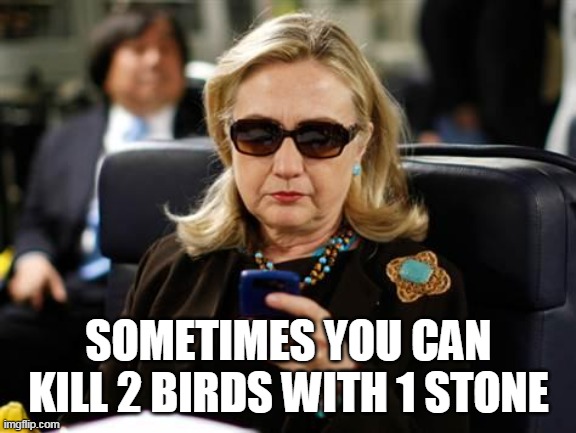 Hillary Clinton Cellphone Meme | SOMETIMES YOU CAN KILL 2 BIRDS WITH 1 STONE | image tagged in memes,hillary clinton cellphone | made w/ Imgflip meme maker