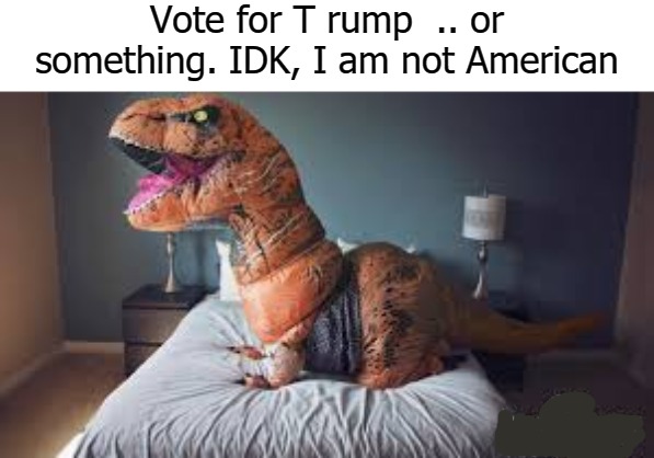 Vote for T rump  .. or something. IDK, I am not American | image tagged in t rump | made w/ Imgflip meme maker