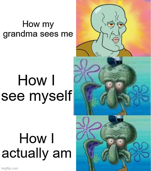 handsome and ugly squidward (extended version) | How my grandma sees me; How I see myself; How I actually am | image tagged in handsome and ugly squidward extended version | made w/ Imgflip meme maker