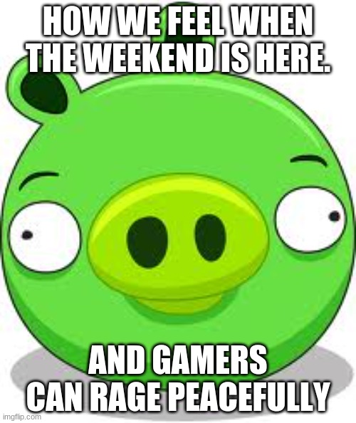 True words | HOW WE FEEL WHEN THE WEEKEND IS HERE. AND GAMERS CAN RAGE PEACEFULLY | image tagged in memes,angry birds pig | made w/ Imgflip meme maker