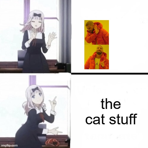 the cat stuff | made w/ Imgflip meme maker