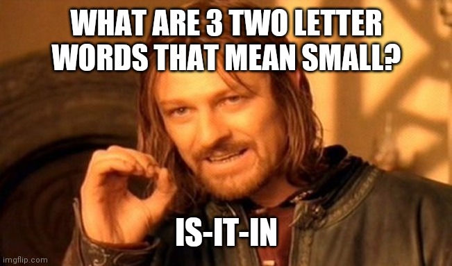 A riddle: | WHAT ARE 3 TWO LETTER WORDS THAT MEAN SMALL? IS-IT-IN | image tagged in memes | made w/ Imgflip meme maker